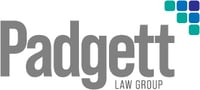 PLG2_NewLogo10yrsAsset 3@4x-100