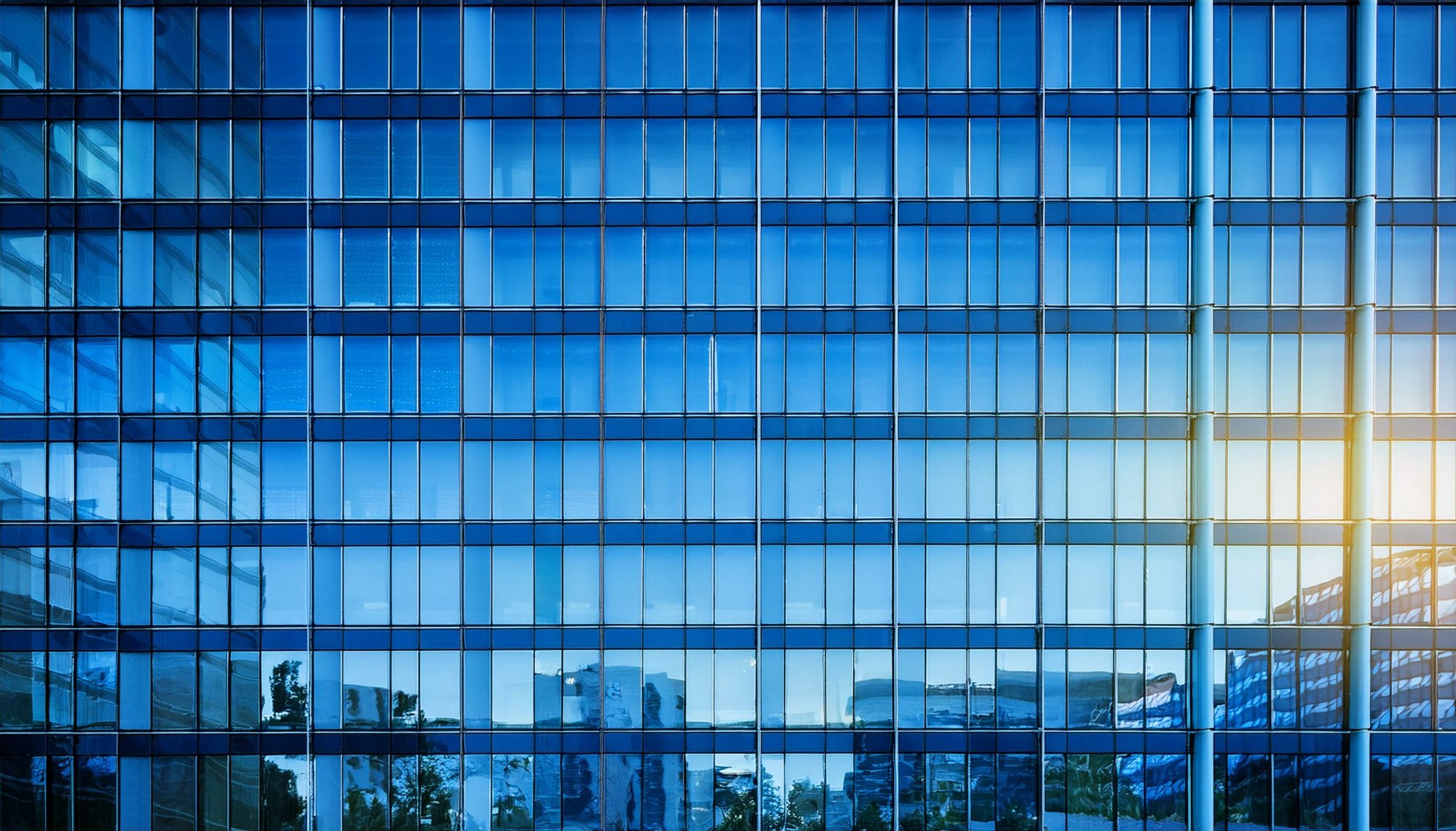 AdobeStock_1246842579