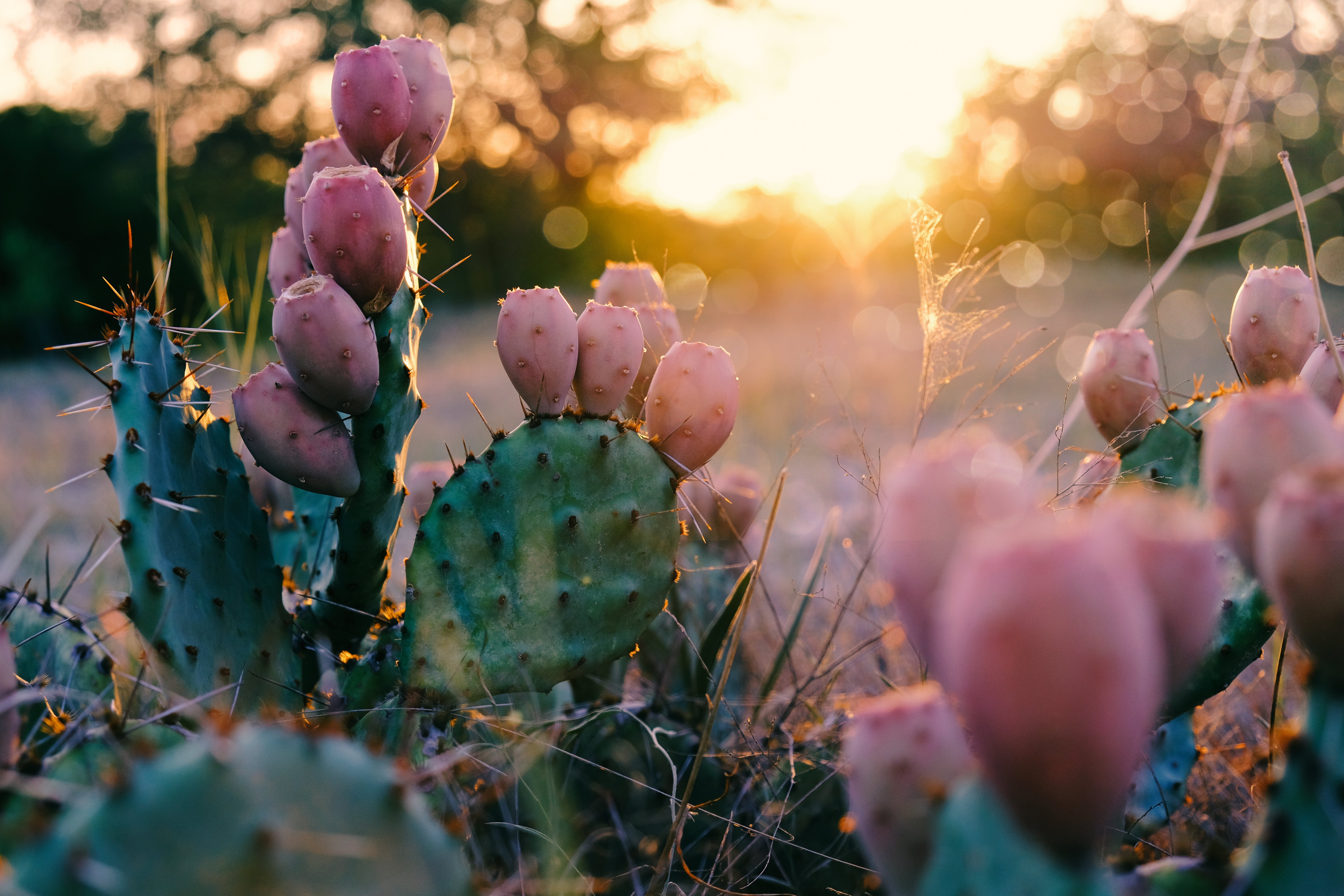 AdobeStock_218133252