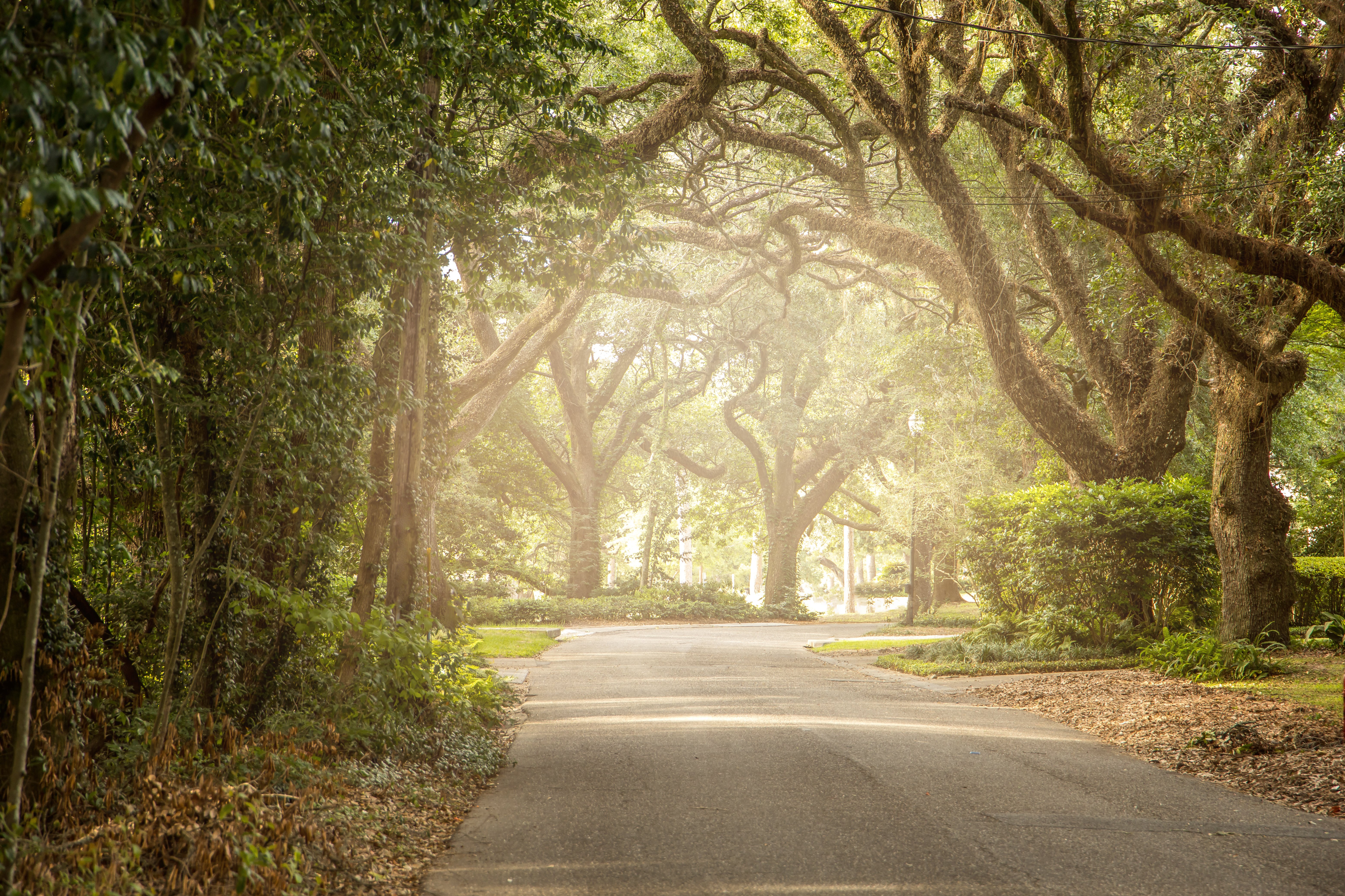 AdobeStock_357739990