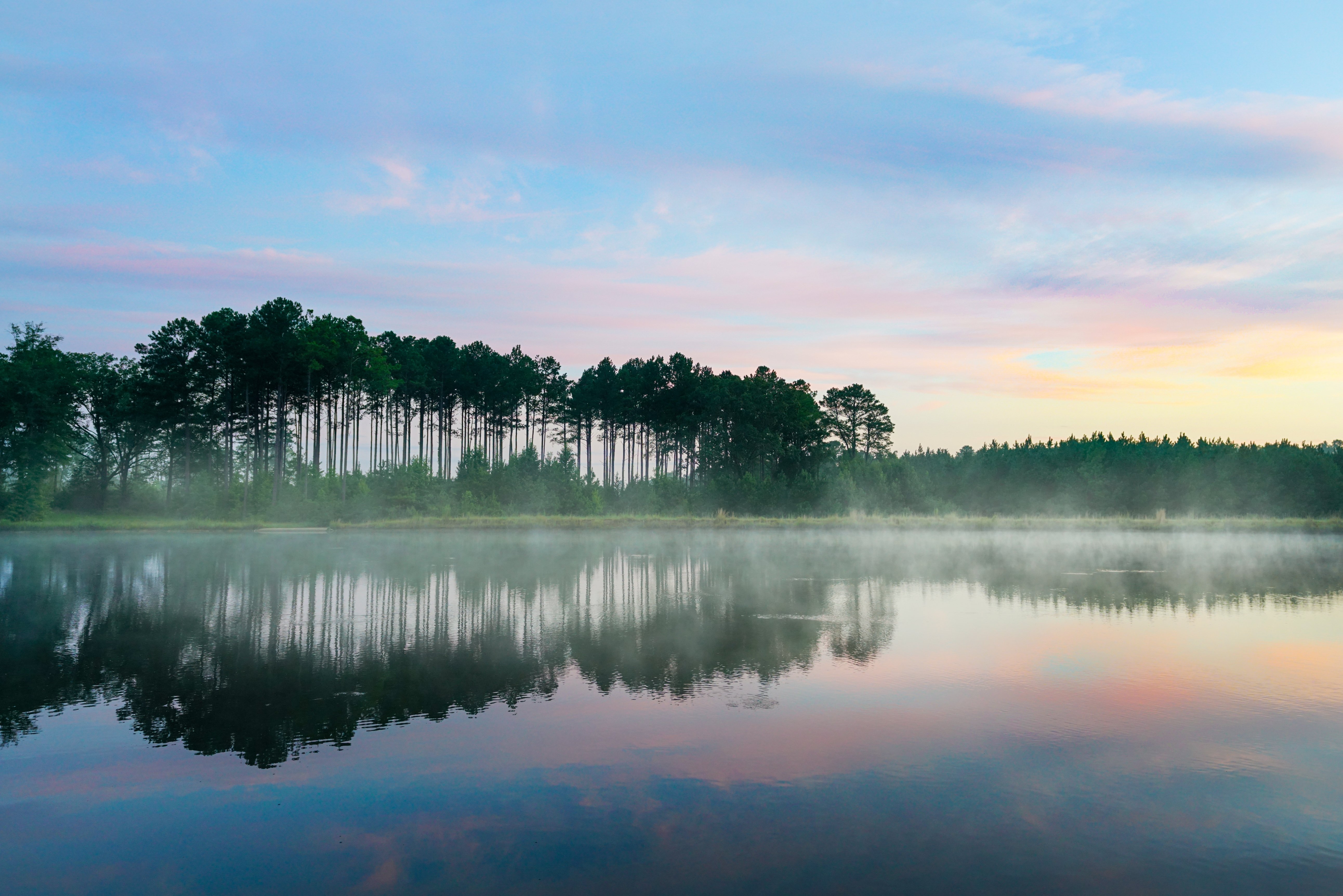 AdobeStock_435712130