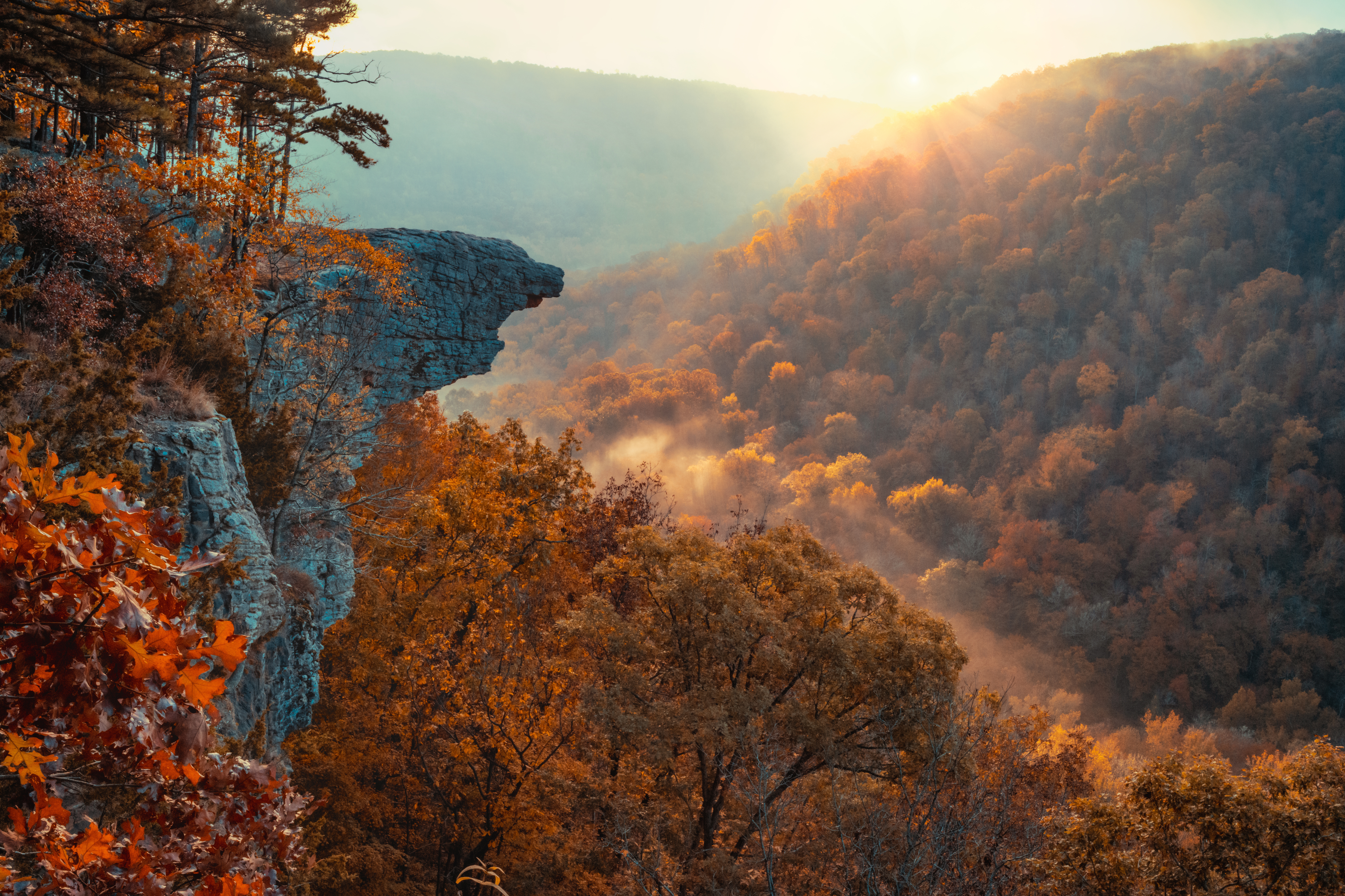 AdobeStock_533197250